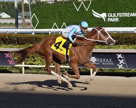 Power Squeeze wins the 2024 Cash Run Stakes at Gulfstream Park
