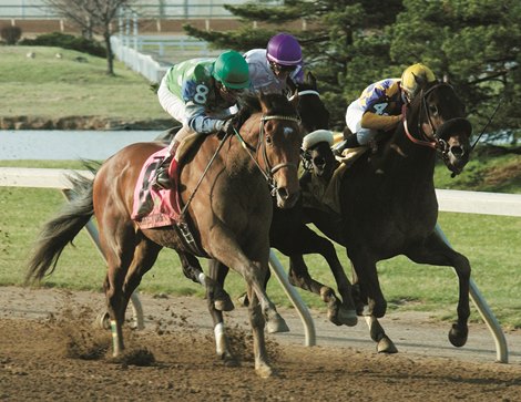 Perfect Drift wins three-horse photo finish in the Spiral Stakes.