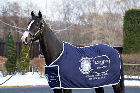 Equinox, 2023 IFHA World's Best Racehorse