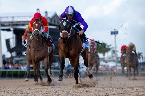 Olivia Darling and Irad Ortiz Win the G2 Inside Information Stakes at Gulfstream Park, Hallandale Beach, Fl, 1-27-24, Mathea Kelley