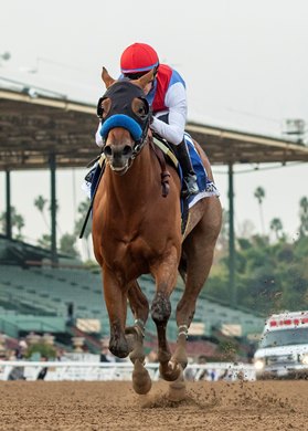 Muth and jockey Juan Hernandez win the Grade II, $200,000 San Vicente Stakes, Saturday, Junuary 6, 2024 at Santa Anita Park, Arcadia CA. &#169; BENOIT PHOTO