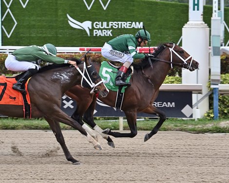 Turn Up the Trees, Maiden Win, Gulfstream Park, January 13 2024