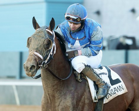 Catching Freedom wins the Smarty Jones Stakes on Monday, January 1, 2024 at Oaklawn Park