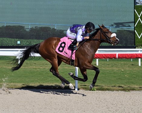 Poolside With Slim, Maiden Win, Gulfstream Park, February 3 2024