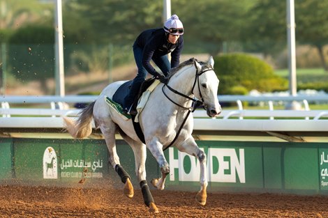 White Abarrio, Saudi Cup , King Abdulaziz Racecourse, Feb. 20, 2024