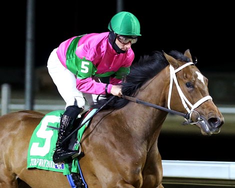 Nice as Pie wins the Valdale Stakes on Saturday, February 10, 2024 at Turfway Park