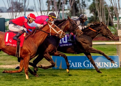 2/17/2024 - Beatbox with jockey Joel Rosario aboard wins the 38th running of the Grade III $175,000 Fair Grounds Stakes at Fair Grounds.  Hodges Photography / Lou Hodges, Jr.