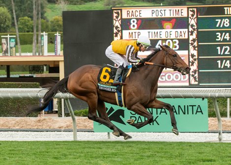 Goliad and jockey Kazushi Kimura win the Grade III $100,000 Thunder Road Stakes Saturday, February 3, 2024 at Santa Anita Park, Arcadia, CA.<br><br />
Benoit Photo