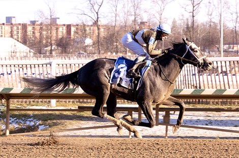 Post Time wins the 2024 General George Stakes at Laurel Park