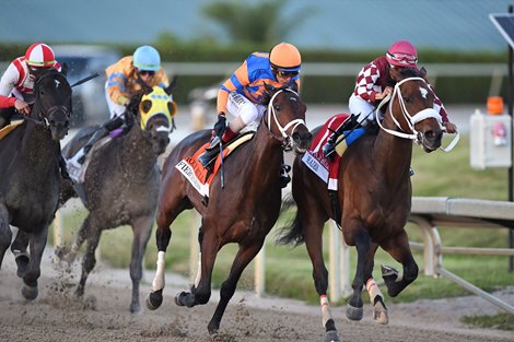 Hades wins the 2024 Holy Bull Stakes at Gulfstream Park