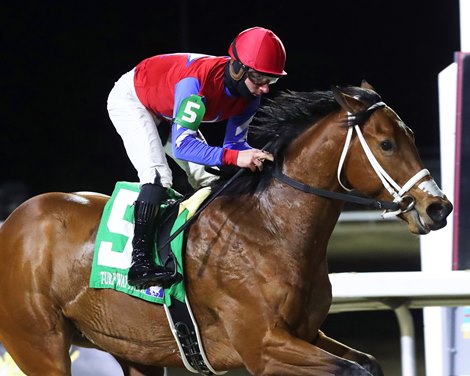 Epic Ride wins the 2024 Leonatus Stakes at Turfway Park