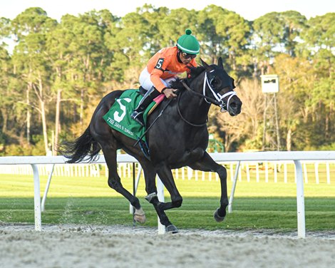 No More Time won the Sam F. Davis Stakes on Saturday, February 10, 2024 at Tampa Bay Downs