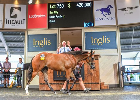 2024 Inglis Classic Yearling Sale, Lot 750
