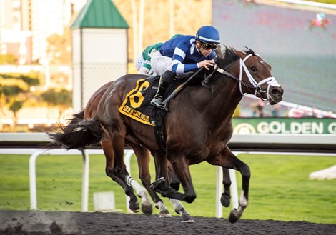 Endlessly wins the El Camino Real Derby on Saturday, February 10, 2024 at Golden Gate Fields