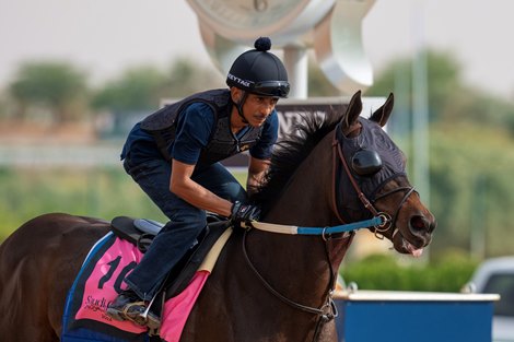 Saudi Cup, Riyadh Dirt Sprint, Skelly, King Abdulaziz Racecourse, Mathea Kelley-Jockey Club of Saudi Arabia, Feb. 21, 2024