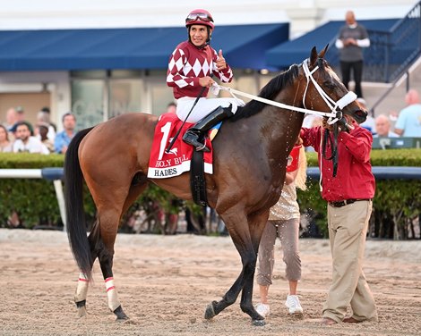 Hades wins the 2024 Holy Bull Stakes at Gulfstream Park
