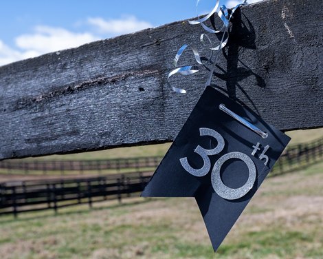 Decoration commemorating his 30th birthday, on Silver Charm&#39;s fence. Old Friends celebration for the 30th birthdays of Silver Touch and Touch Gold at their facility near Georgetown, Ky.