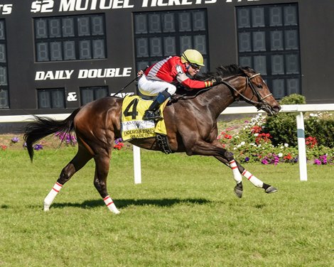 Walkathon wins the 2024 Endeavour Stakes at Tampa Bay Downs Walkathon wins the 2024 Endeavour Stakes at Tampa Bay Downs