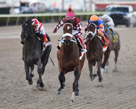 Hades wins the 2024 Holy Bull Stakes at Gulfstream Park