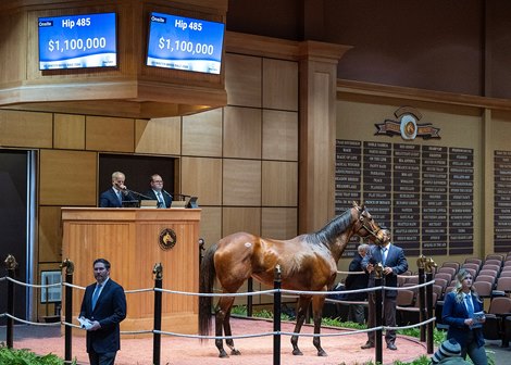 2024 Fasig-Tipton Winter Mixed Sale