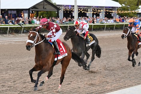 Hades wins the 2024 Holy Bull Stakes at Gulfstream Park
