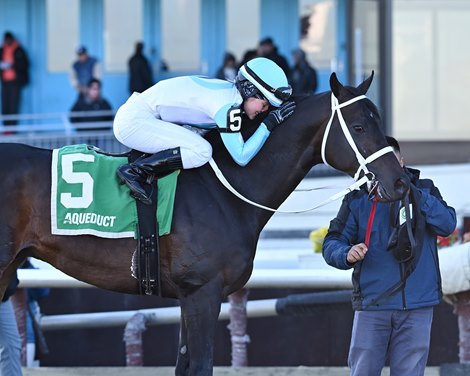 Super Chow wins the 2024 Toboggan Stakes at Aqueduct