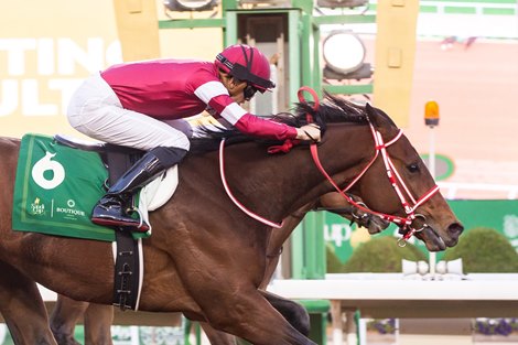 Forever Young wins the 2024 Saudi Derby at King Abdulaziz Racecourse