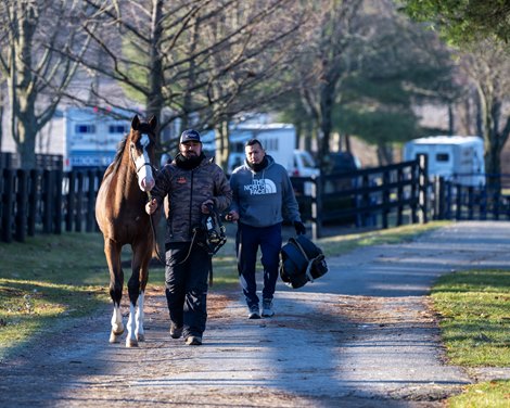 2024 Fasig-Tipton Winter Mixed Sale scenics