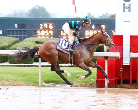 Mystik Dan wins the Southwest Stakes on Saturday, February 3, 2024 at Oaklawn Park