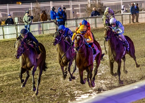2-17-2024 - Sierra Leone(left) passes Track Phantom(gold cap) in deep stretch to win the 52nd running of the Grade II $400,000 Risen Star Stakes at Fair Grounds.  Hodges Photography / Amanda Hodges Weir