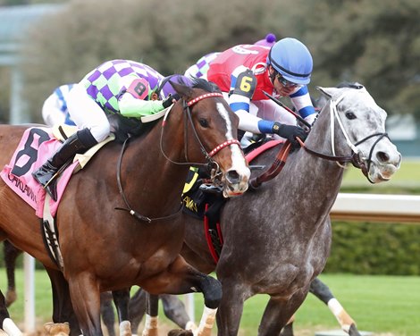 Xtreme Diva wins the 2024 Dixie Belle Stakes at Oaklawn Park