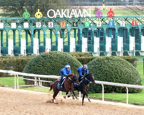 Carbone - Work - Oaklawn Park - 02-17-24