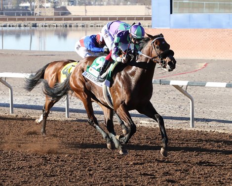 Stronghold wins the Sunland Park Derby on Sunday, February 18, 2024 at Sunland Park