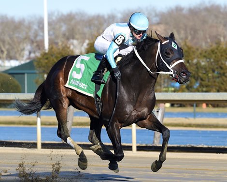 Alpine Princess wins Untapable, gaining Ky. Oaks points