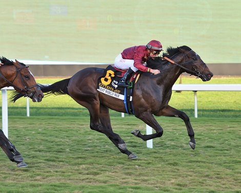 First World War wins the 2024 Kitten&#39;s Joy Stakes at Gulfstream Park