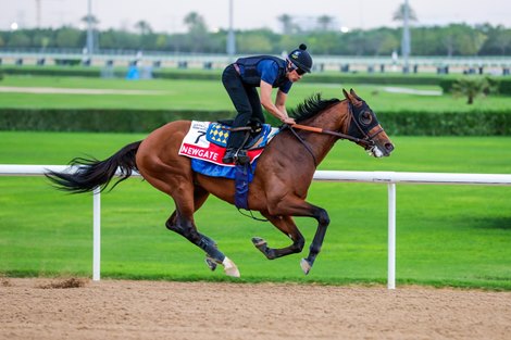 Newgate, Meydan, March 25 2024 Newgate, Meydan, March 25 2024