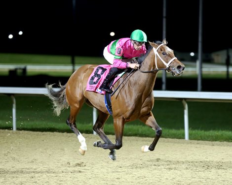Nice as Pie wins the 2024 Serena Song Contest at Turfway Park