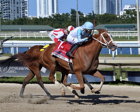 Power Squeeze wins the 2024 Gulfstream Park Oaks at Gulfstream Park
