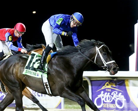 Encino wins the John Battaglia Memorial Stakes on Saturday, March 2, 2024 at Turfway Park