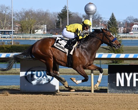 Sweet Brown Sugar wins the East View Stakes on Sunday, March 17, 2024 at Aqueduct