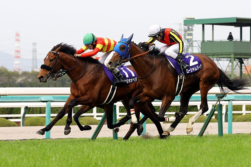 Stellenbosch, Sixpence Look to Make a Mark in Osaka Hai - BloodHorse