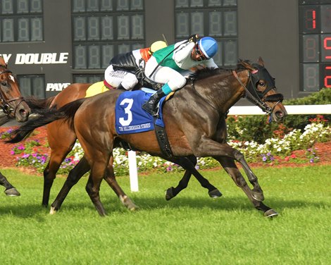 Sparkle Blue wins the Hillsborough Stakes on Saturday, March 9, 2024 at Tampa Bay Downs