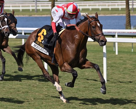 McKulick wins the 2024 Orchid Stakes at Gulfstream Park