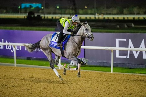 Saudi Crown, Meydan, March 26 2024