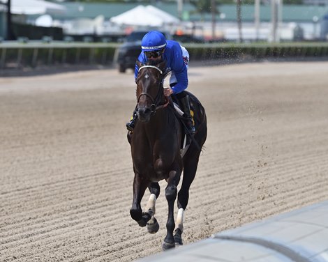 Knightsbridge, AOC, Gulfstream Park, March 28 2024