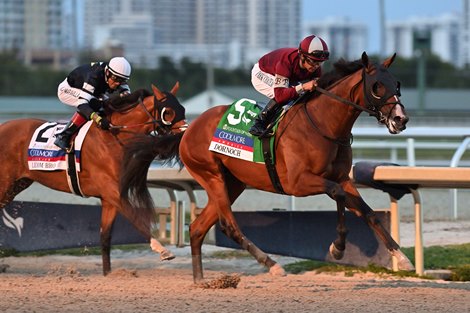 Dornoch wins the 2024 Fountain of Youth Stakes at Gulfstream Park Dornoch wins the 2024 Fountain of Youth Stakes at Gulfstream Park