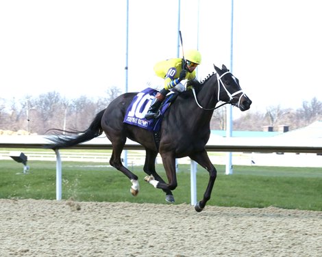 Dana's Beauty wins the Latonia Stakes on Saturday, March 23, 2024 at Turfway Park