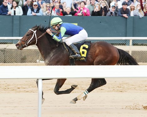 Spankster, STR, Oaklawn Park, March 9 2024<br>
First Career Win for Trainer Jade Cunningham