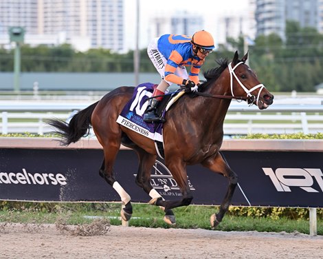 Fierceness wins the 2024 Florida Derby at Gulfstream Park