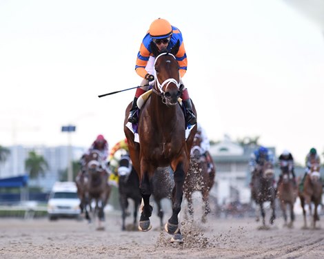 Fierceness wins the 2024 Florida Derby at Gulfstream Park